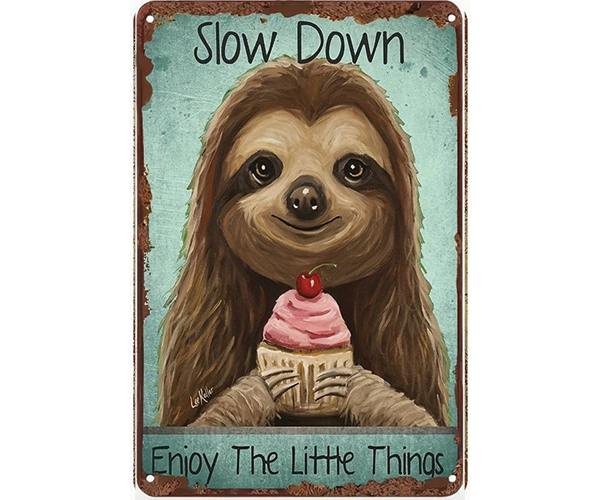 "Slow Down" Blechschild 20 x 30 cm